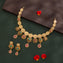 Vanita Vilas Necklace Set