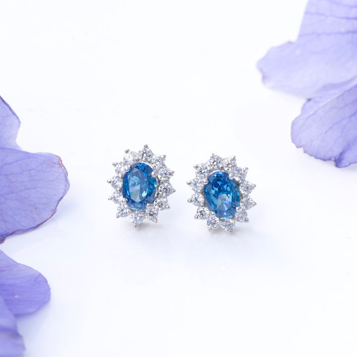Star of Sapphira Studs