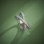 Dual Twist Ring