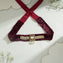 Aurivra Moissanite Choker