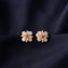 Gulaabsiya Stud Earrings